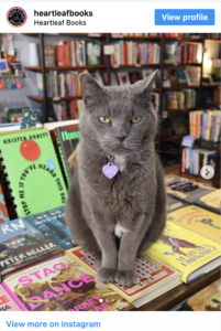 5 Bookstores for cat people
